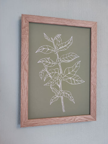 Botanical Coffee Plant Art Print Green Background