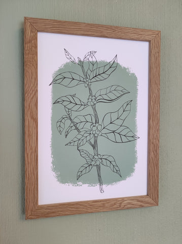Botanical Coffee Plant Art Print Teal