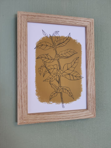 Botanical Coffee Plant Art Print Mustard
