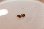facing opposite each other are a pair of red bronze coffee bean earrings