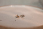facing away from each other is a pair of sterling silver coffee bean earrings