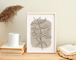Botanical Coffee Plant Art Print Grey
