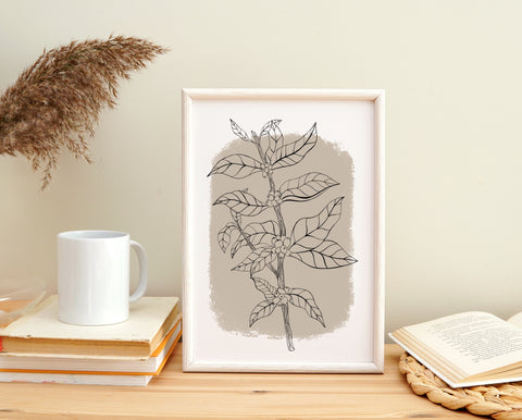 Botanical Coffee Plant Art Print